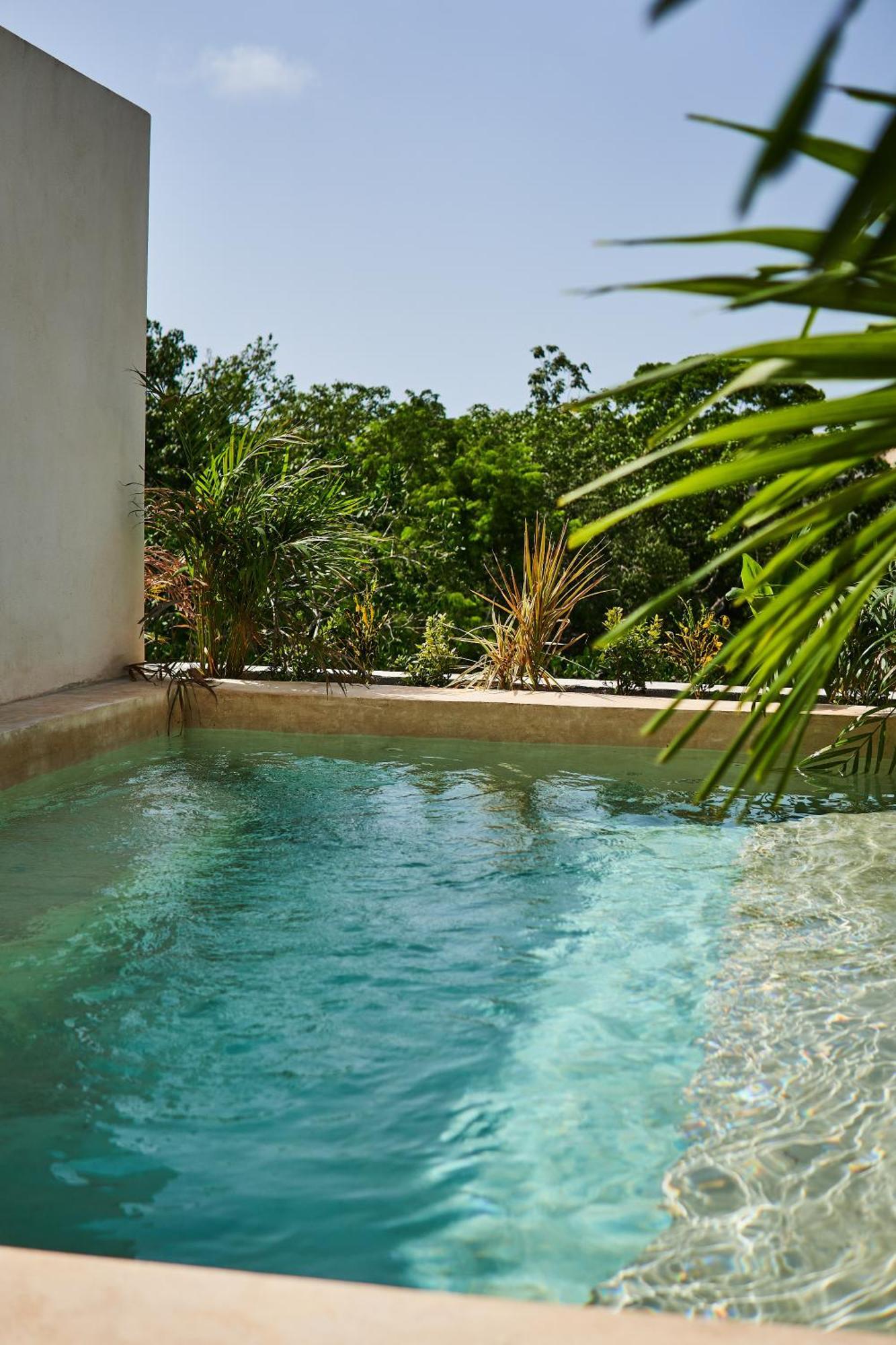 Spacious & Comfy Penthouse Oasis With Plunge Pool Tulum Ngoại thất bức ảnh